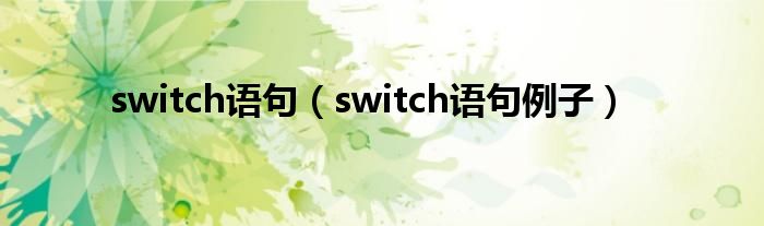switch语句（switch语句例子）