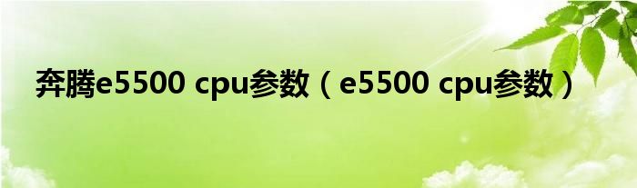 奔腾e5500 cpu参数（e5500 cpu参数）